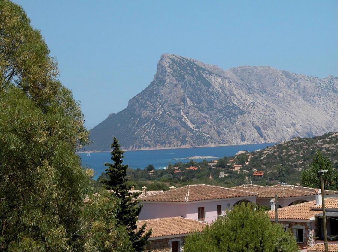 Residence Agrifoglio Monte Petrosu Εξωτερικό φωτογραφία