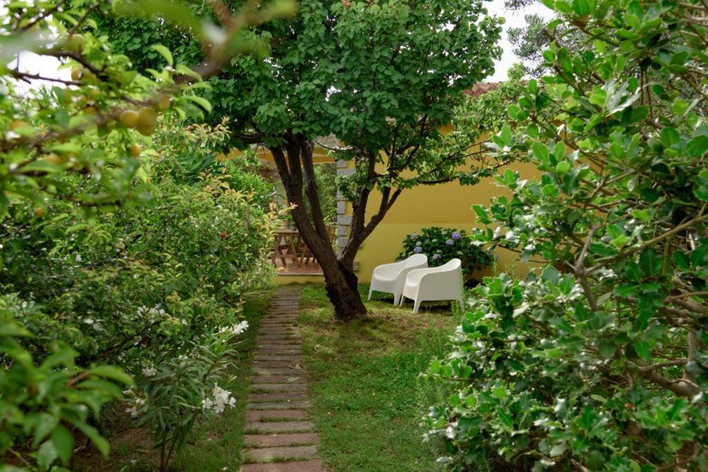 Residence Agrifoglio Monte Petrosu Εξωτερικό φωτογραφία