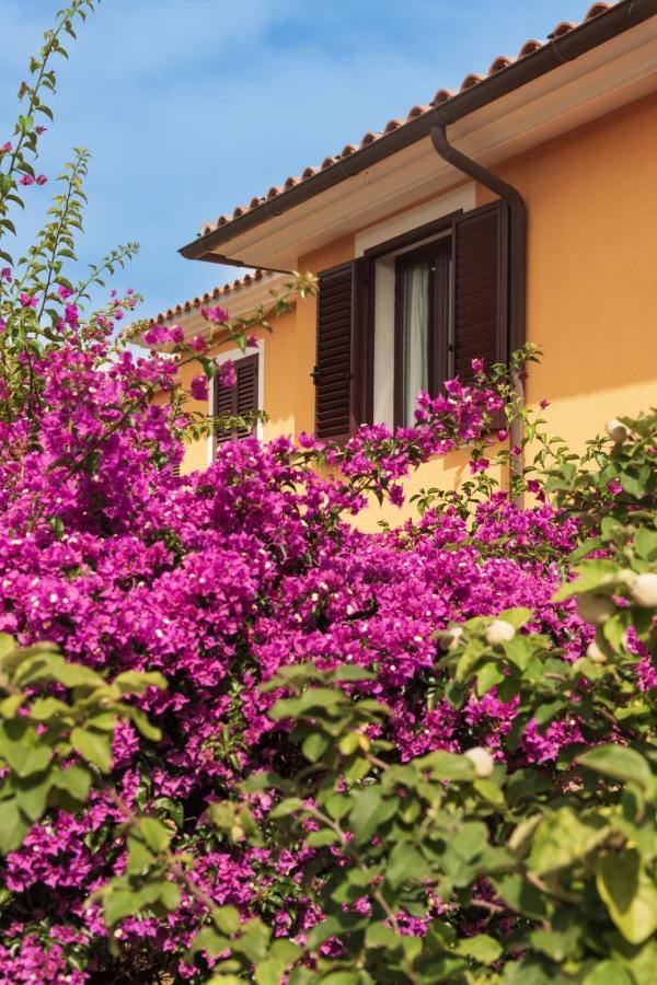Residence Agrifoglio Monte Petrosu Εξωτερικό φωτογραφία