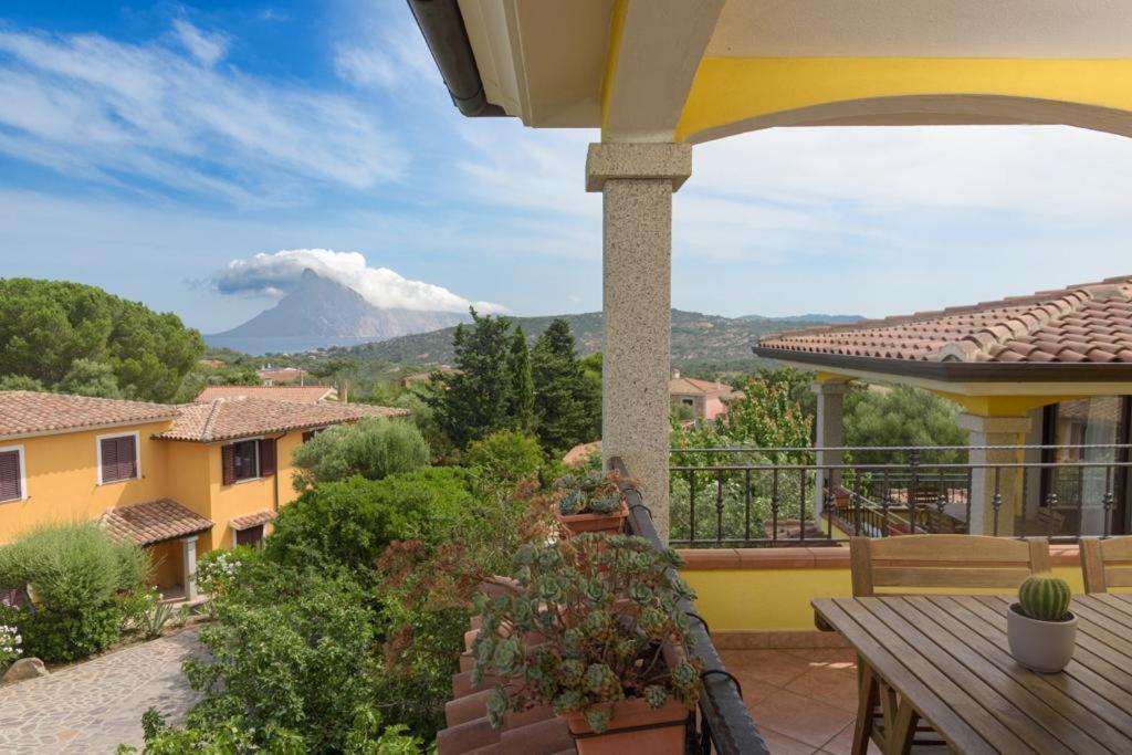 Residence Agrifoglio Monte Petrosu Εξωτερικό φωτογραφία